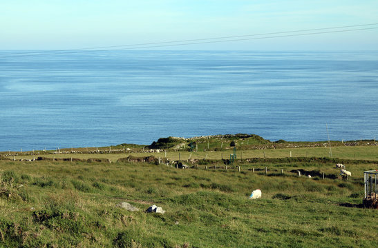 Mountain view from the top of Bere Island  West Cork, Ireland