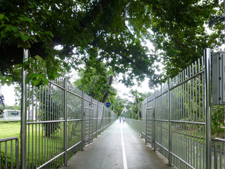 bridge in the park