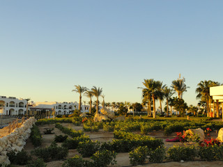 Fototapeta na wymiar Egypt: well-groomed hotel grounds in the rays of the rising sun in the early morning.