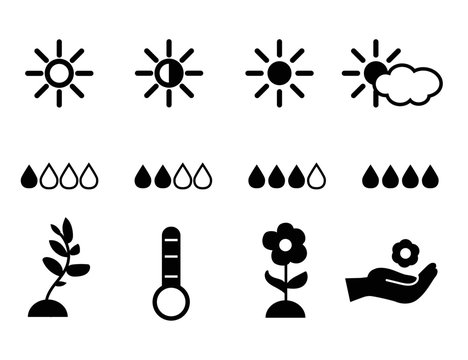 Set icons planting