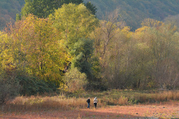 spaziergänger in herbstlicher rheinuferlandschaft bei bingen
