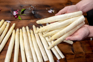 Farmer holding fresh tasty white asparagus in hands, seasonal vegetable, new harvest, ready to cook