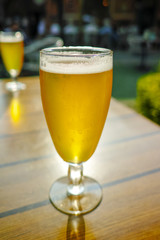 One cold light unfiltered beer in glass served on sunny outdoor terrace in garden