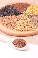 Fototapeta premium seed