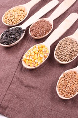 seed
