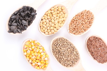 seed