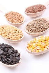 seed