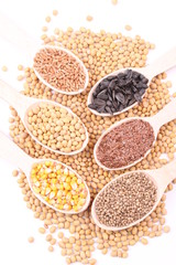seed
