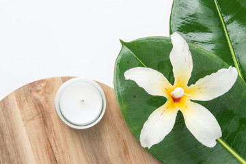 Obraz na płótnie Canvas Beautiful big green ficus leaves tropical flower candle wood board white background. Organic Cosmetics Wellness spa body care purity concept. High resolution banner poster mock up. Copy space