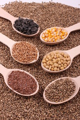 seed