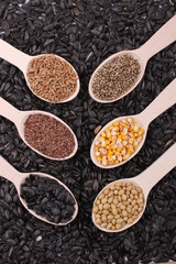 seed