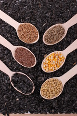 seed