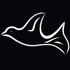Flying dove, white contour on a black background