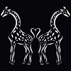 Giraffes in love turned away from each other and the heart of their tails