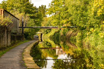 autumn down the canal