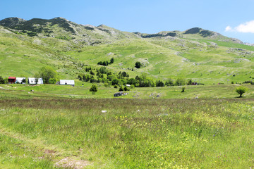 Fototapeta premium A village in Durmitor national park in Montenegro