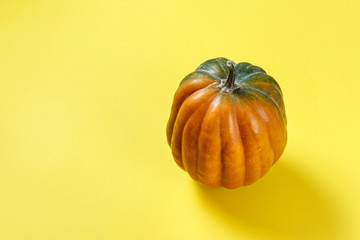 pumpkin on a yellow background