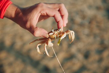 Guy holding crab
