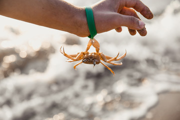 Guy holding crab