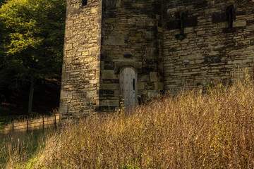 abandoned old house