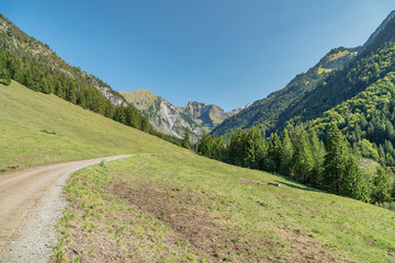 Naklejka na ściany i meble View to Oytal-Valley with Mountian Panorama / Bavaria