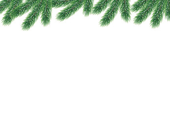 Vector background with fir branches