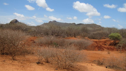 farbenprächtige Landschaft in Kenia