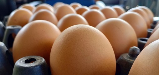 Picture many eggs are placed in a box rady to cooking or sale. - obrazy, fototapety, plakaty