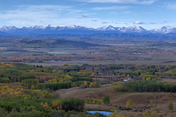  Alberta outdoors beauty in the foothills, view of a field of wild flowers, trees and the Canadian Rocky Mountains in the background