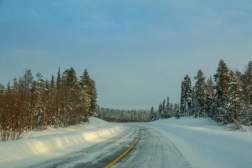 Forest Winter Road at Sunset