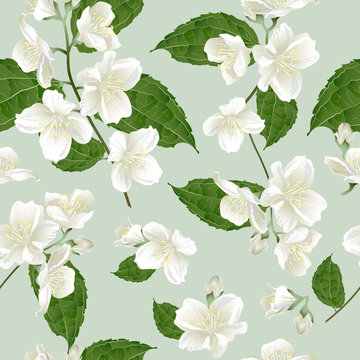 Seamless pattern with jasmine flowers. Modern floral pattern for textile, wallpaper, print, gift wrap, greeting or wedding background.