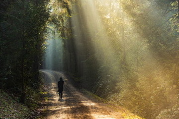 Girl in sun rays walking with beagle dog on leash in forest path.