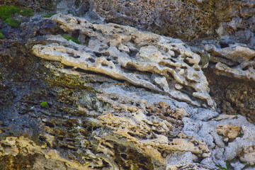 стена из природного камня покрытая мхом