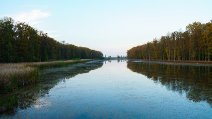 Calm pond with trees reflecting