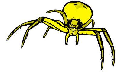 Crab spider graphic in colour