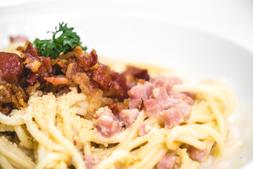 Spaghetti on white plate