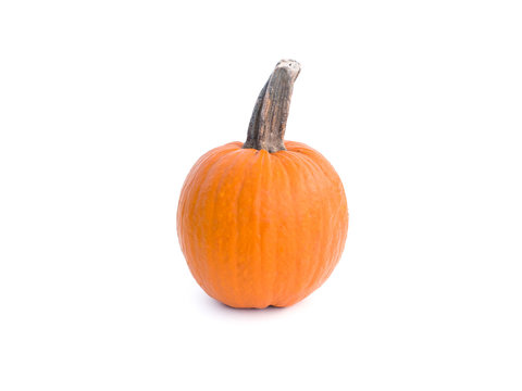 A closeup of a small orange pumpkin with large stem isolated on a white background with open space making a beautiful fall or autumn background.