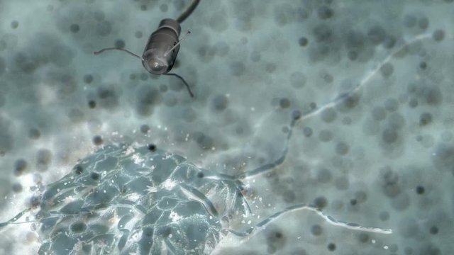 Artist concept rendering, microscopic Xray image, medical nano robotic giving treatment on tumor cell in human body.