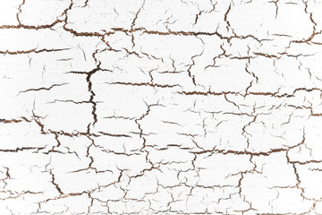 wood  texture vintage pattern background