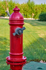 Fototapeta na wymiar red street hydrant mounted on a green lawn