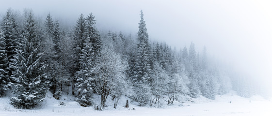 Winter white forest with snow, Christmas background - Powered by Adobe