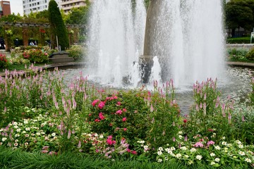 Naklejka premium 秋の花壇