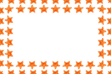 Orange physalis background, frame and border, copy space photo