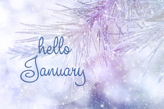 HELLO JANUARY greeting card. Winter holidays concept.