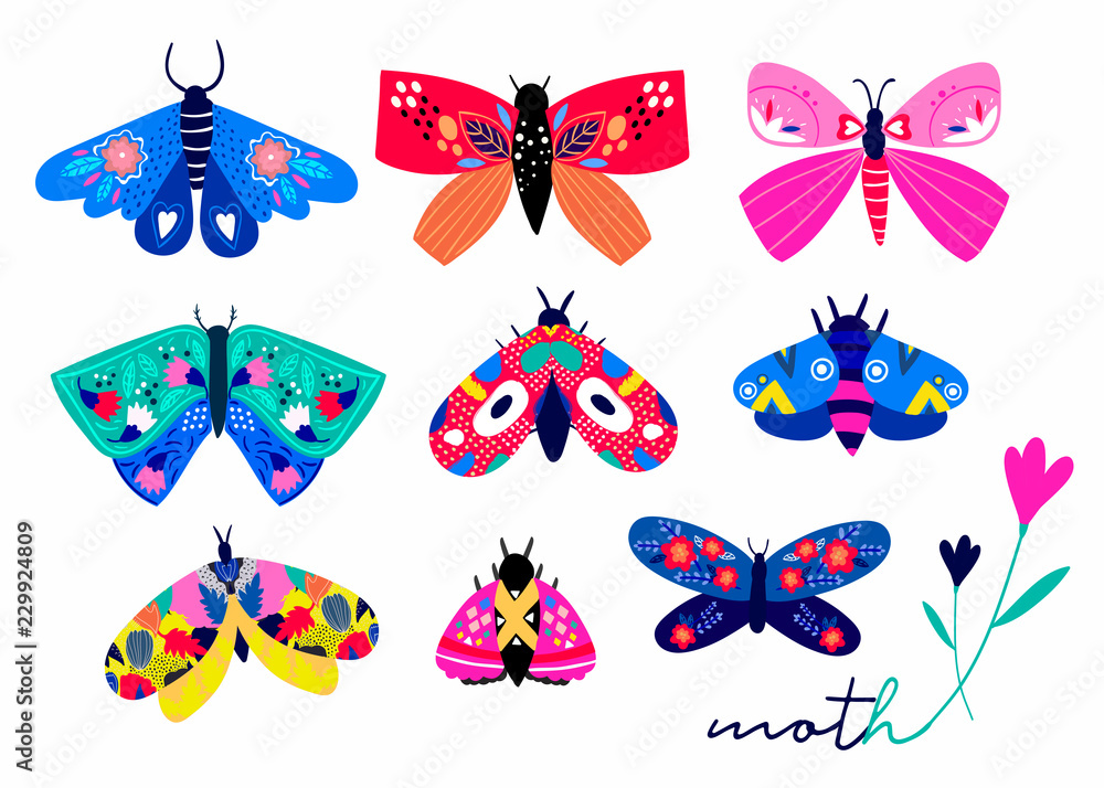 Wall mural hand drawn moth and butterflies. colored vector set. all elements are isolated