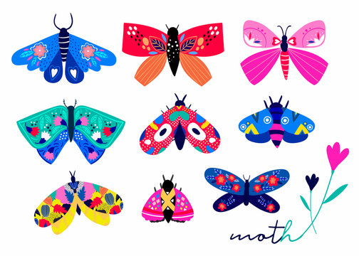 Hand drawn moth and butterflies. Colored vector set. All elements are isolated