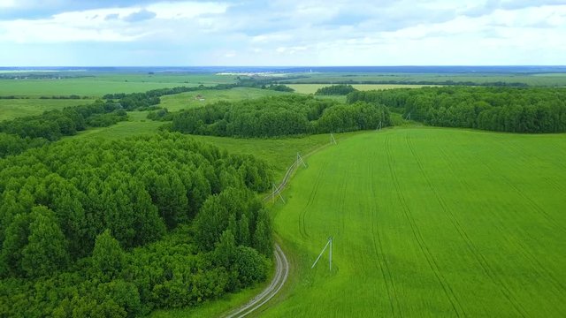 Very beautiful top view of green fields, trees on summer day