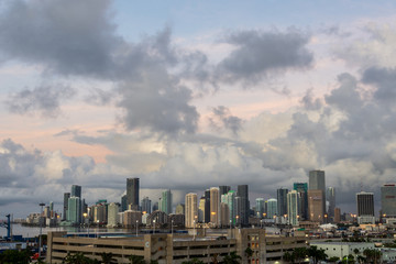 Naklejka premium wide angle of the cityscape of downtown miami florida on an early summer morning
