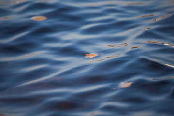 Fototapeta na wymiar A beautiful water surface close up in the river. Waves with some reflections. Riga, Latvia.
