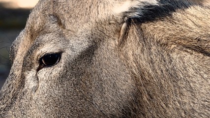 Fototapeta premium OLYMPUS DIGITAL CAMERA